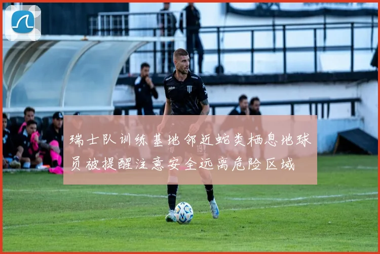 瑞士队训练基地邻近蛇类栖息地球员被提醒注意安全远离危险区域